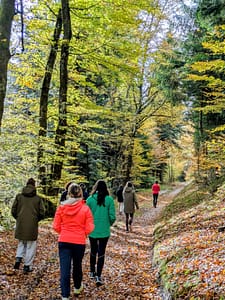 Retraite Yoga Vosges Nagoyaka Ballade nature