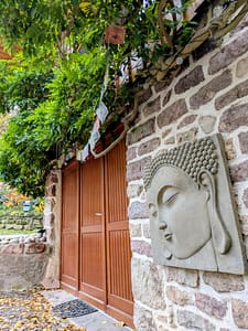 Retraite Yoga Vosges Nagoyaka Shala