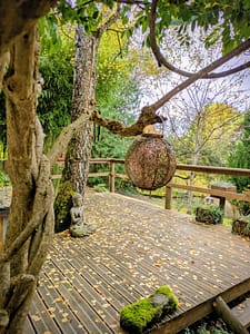 Retraite Yoga Vosges Nagoyaka Terrasse